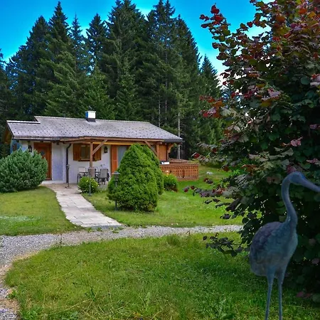 In Brambrueesch Near And Lenzerheide * 马里克斯