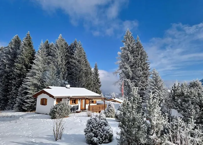 In Brambrueesch Near And Lenzerheide * Malix