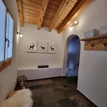In Brambrueesch Near And Lenzerheide Apartment Malix